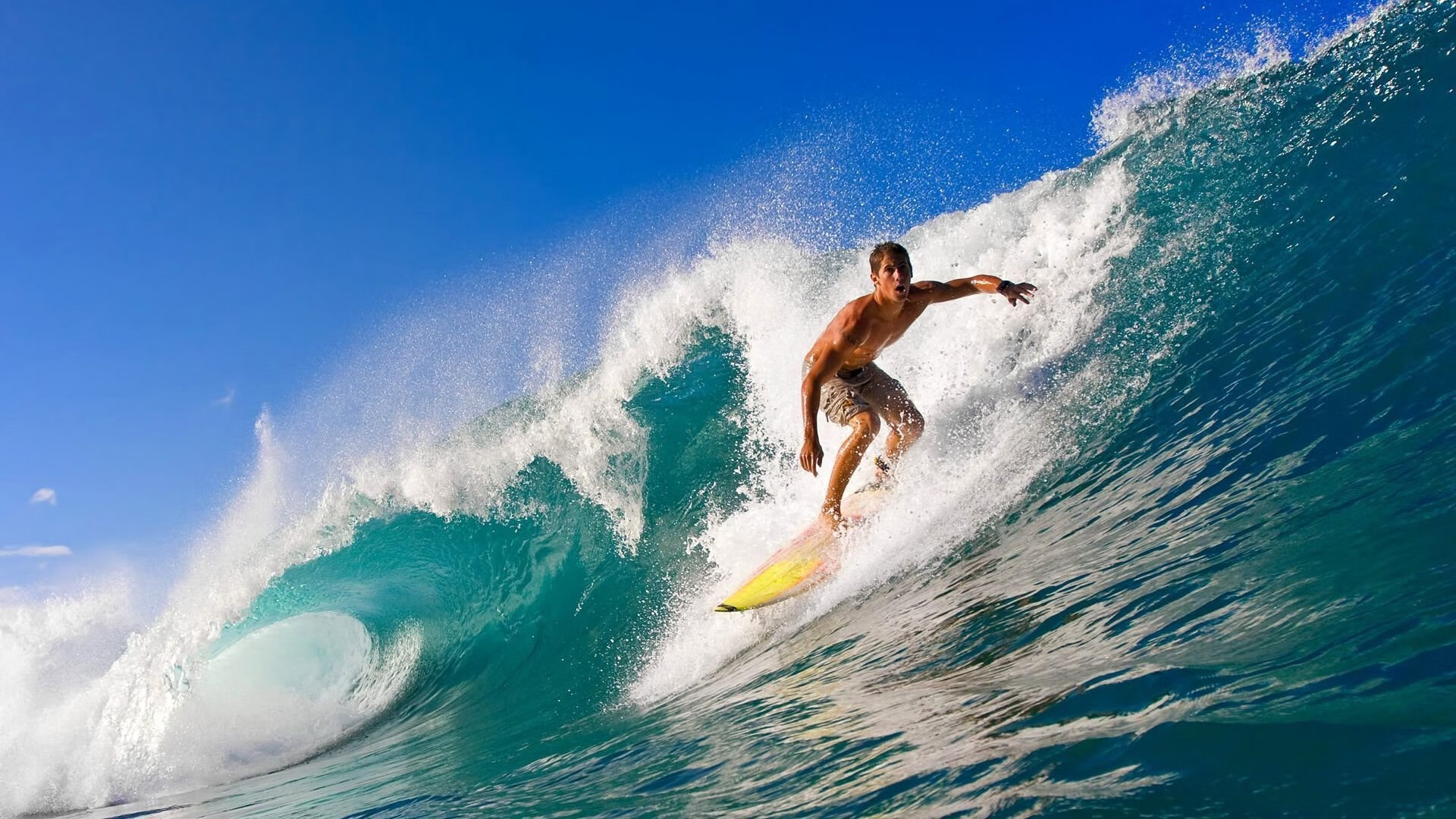 “荒野之战：沙丘与泥泞中的血战”，荒野之战电影