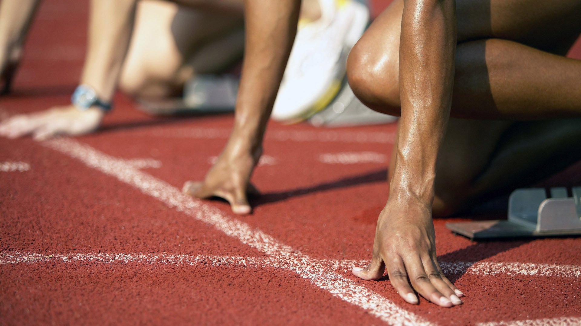 德国马术协会与国际马术联合会合作，举办国际马术交流活动，促进技术交流。